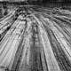 Illustration for article titled 41 More Amazing Photos From the Sony World Photography Awards